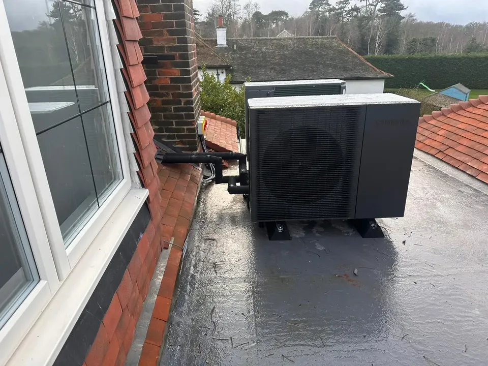 One of the pair on its feet on the flat roof, beside the dormer window.