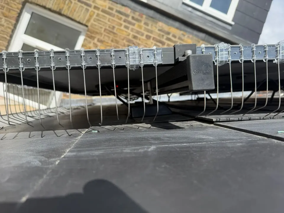 Bird mesh clipped round the edge of the array, so nothing can nest under the panels.