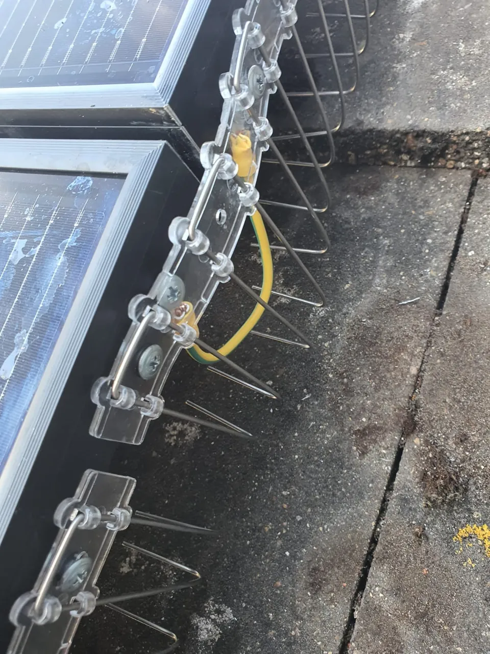 Close up: the bird spikes, and the green and yellow earth bonding between the frames.